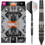 Target Raymond van Barneveld Echo Swiss Point 95% steeltip dartpijlen